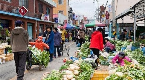 韩“菜篮子”价格居高不下洋葱牛肉涨到“天价”