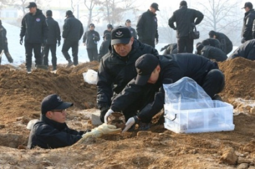 韩方人员在收集中国志愿军遗骸。