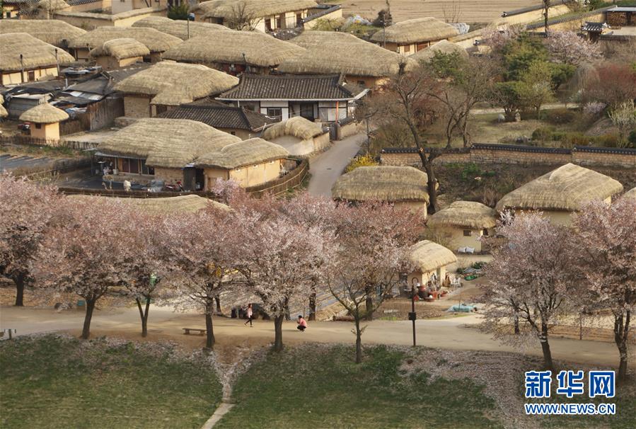 探访世界文化遗产:韩国安东河回村