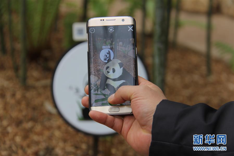 （国际）（5）探访“熊猫夫妇”在韩国的高科技新家 