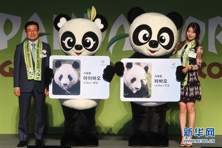 （国际）（6）旅韩“大熊猫夫妇”正式与韩国公众见面