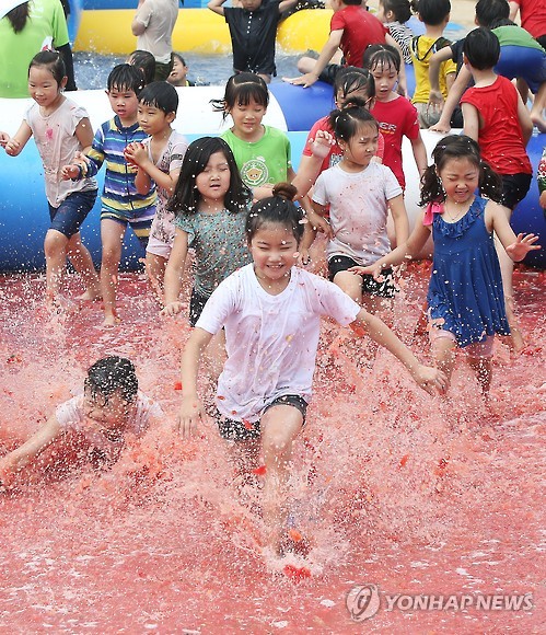 韩国举行西红柿庆典 儿童畅游“西红柿海洋”【组图】