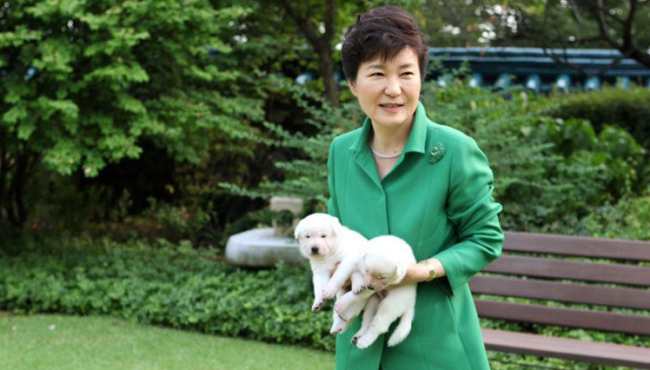 韩国总统朴槿惠网上秀与爱犬嬉戏照片(组图)