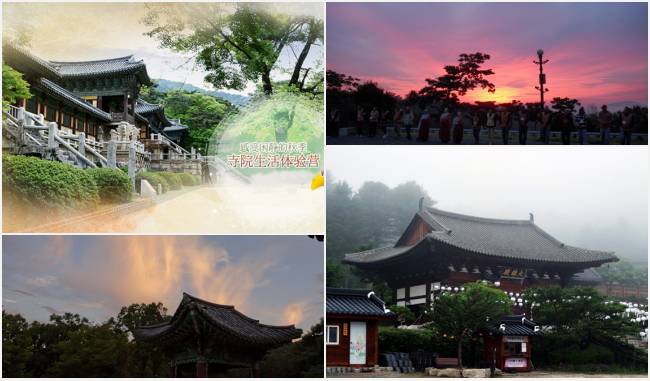 [韩国观光] 赴韩感受闲静的秋季“寺院生活体验营”