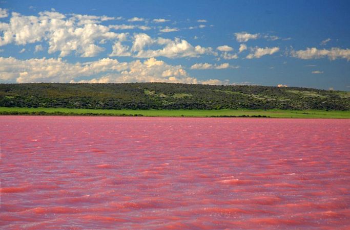 핑크빛의 호수