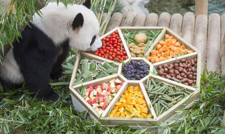 旅韩大熊猫享中秋美食